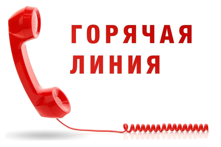 «Горячая линия» по вопросам качества и безопасности детских товаров, по выбору новогодних подарков..