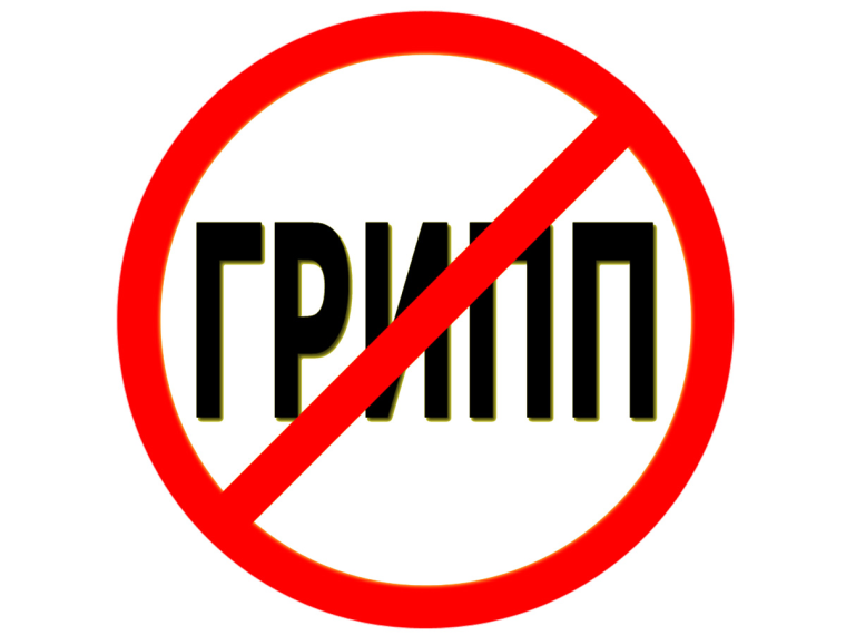 Профилактика гриппа и ОРИ.